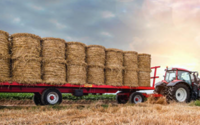 Manufacturing-Agriculture