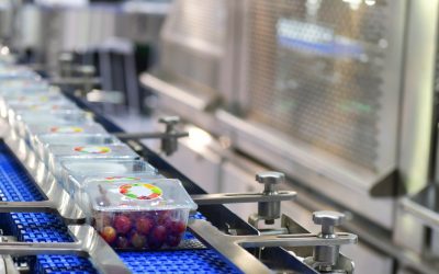 Food products boxs transfer on Automated conveyor systems industrial automation for package