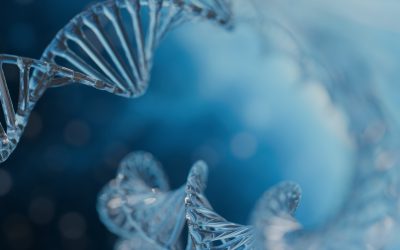 A structural model of DNA in a translucent glass-like material, ideal as an image to illustrate the mystery of DNA.
often used as an image of genetic information, genetic diseases, and family. It is also often used as the cover of academic booklets.
Beautiful DNA images capture people's hearts and minds.
This image is not created by AI.